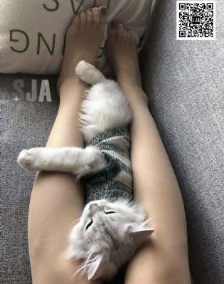 口碑最好十部国产漫画_4K高清免费观看