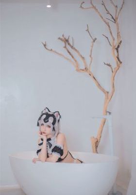 91视频成人动漫_DVD高清视频播放